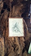 Анастасия дерево